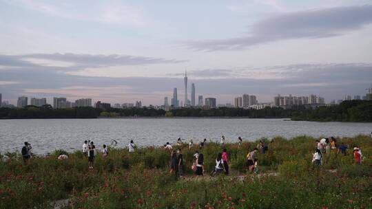 海珠湖和广州塔珠江新城市天际线