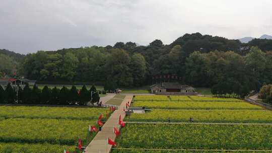 龙岩上杭县古田会议纪念馆会议会址油菜花田