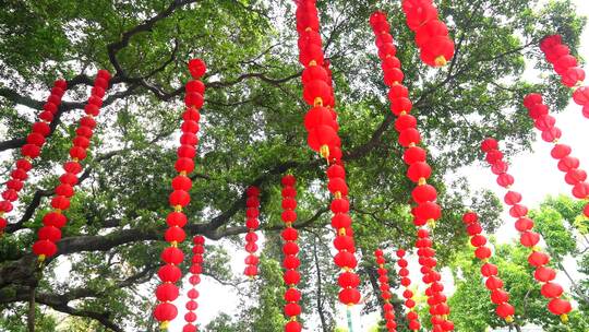 中国年 红灯笼 年味 春节 中国红视频素材模板下载