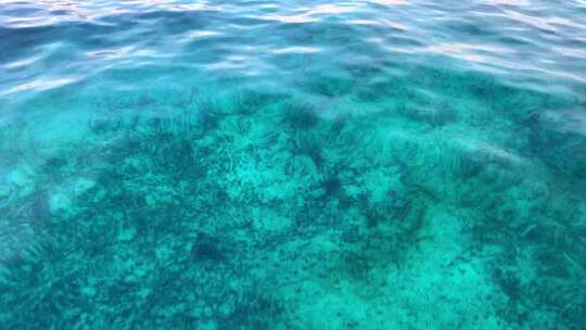 美国佛罗里达群岛蓝色海洋水下的剪辑，揭示了远处的灯塔