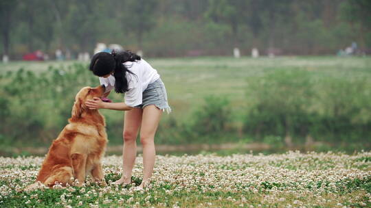 长腿美女和金毛宠物犬在春天开满花草地玩耍