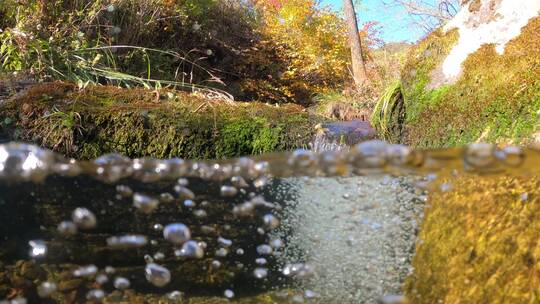 水下摄像机拍摄清澈溪水视频素材模板下载