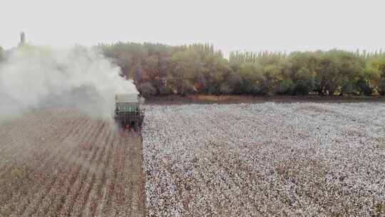 航拍新疆棉花收获 跟随打包采棉机田地工作