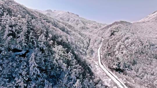 陕西秦岭分水岭雾凇冰挂雪景