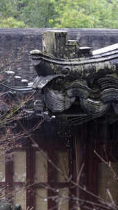 古建筑屋顶在雨中的景象