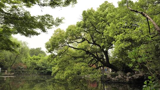 杭州西湖风景