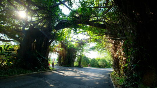 唯美山间郊外公路