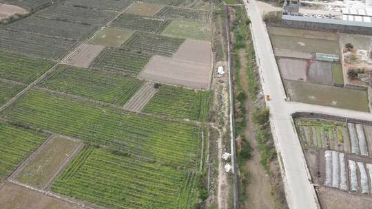 大气 航拍 福建 泉州 农场 农业 美景