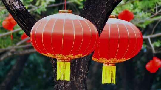 新年春节挂灯笼视频