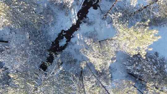 航拍森林雪景树林雪松冰雪融化河流雪后森林