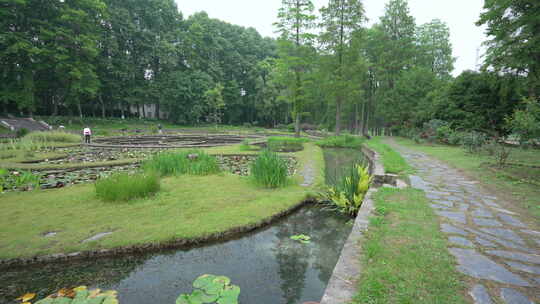 武汉植物园睡莲展示区