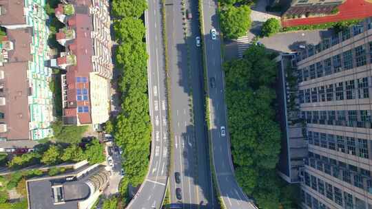 杭州西湖景区西湖大道定安路车辆车流风景视