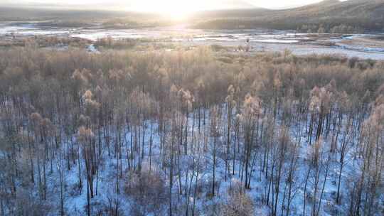 雪原阳光树林雾凇