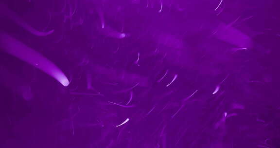 快速移动的紫色粒子