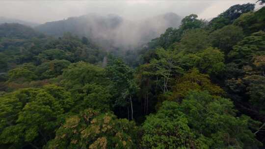 FPV穿越云南西双版纳热带原始雨林烟雨视频素材模板下载