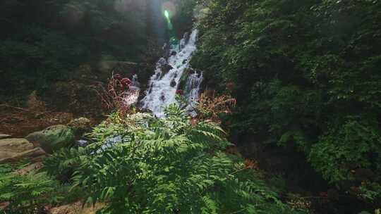 辽宁本溪夏季森林瀑布水流风景