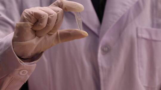 豆角中毒龙葵碱皂甙检测视频素材模板下载