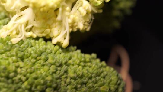 绿菜花西兰花西蓝花视频素材模板下载