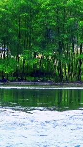 治愈系风景，蓝天白云晴空万里，治愈系风景