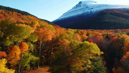 色彩斑斓的山林与雪山的自然风光