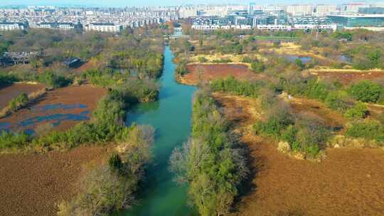 杭州西湖区西溪湿地美景风景视频素材