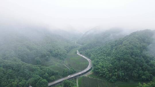 4k航拍西湖景区龙井村云雾