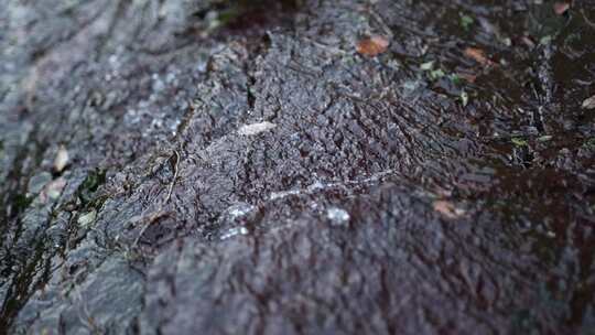 小溪 流水 高山 水 河流 流水