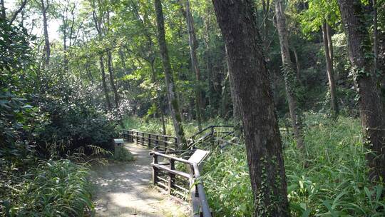 杭州玉皇山景区吴越郊坛遗址