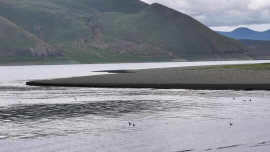 羊湖黑沙湖岸