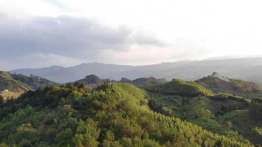 探索神秘的森林大山区