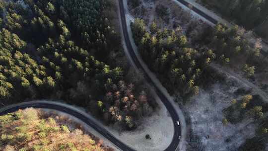 高空航拍下雪后的森林