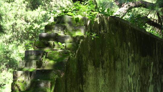 爬满青苔的古建筑神秘遗址砖墙视频素材模板下载