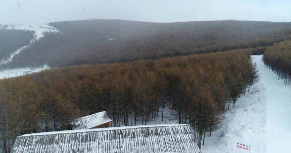 张家口崇礼雪山森林4k