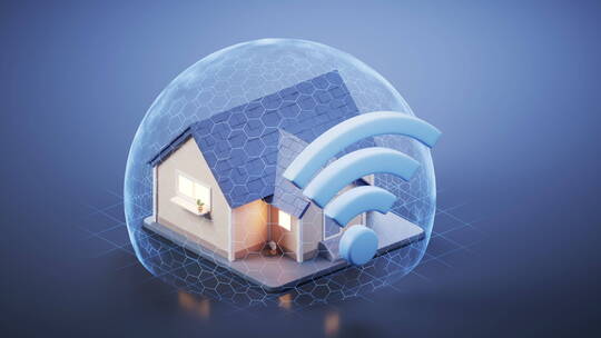 房屋与网络概念3D渲染