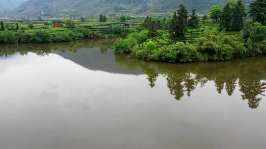 丽水松阳大木山茶园航拍