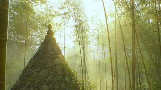 竹林迷雾丁达尔光子影丁达尔耶稣清晨意境影