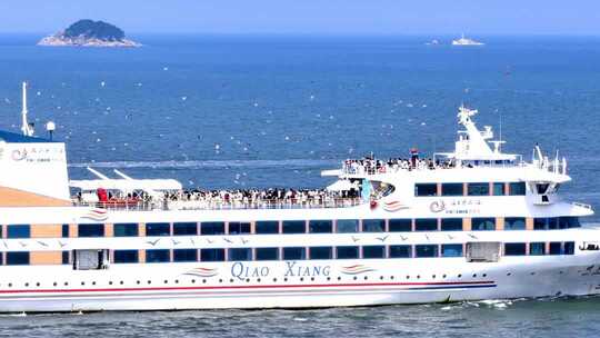 大海游轮海鸥