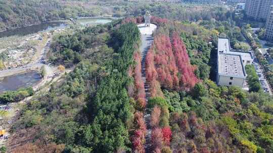 武汉江汉区藏龙岛湿地公园航拍