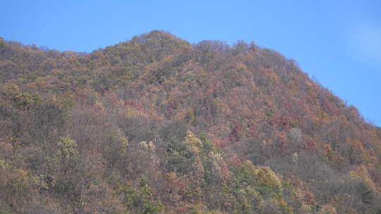 秦岭秋季风景