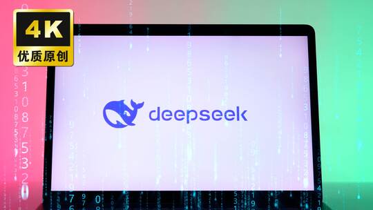 DeepSeek国产AI大语言模型算法