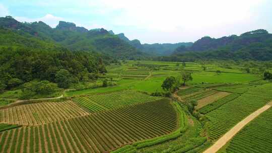 航拍武夷山九曲溪竹筏漂流岩茶茶园丹霞地貌