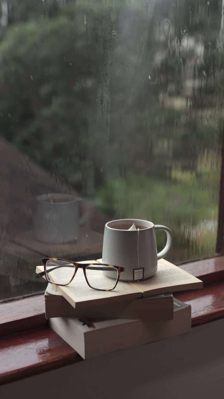 空镜 写意 看书 午后时光