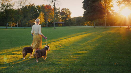 秋天傍晚女人在公园遛狗