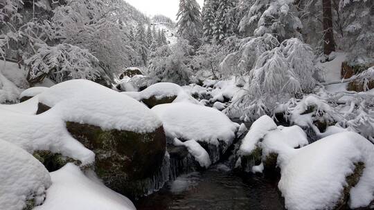 雪后的林间小溪流