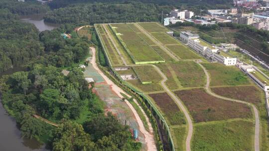 航拍深圳龙华区观澜河流及城区绿化