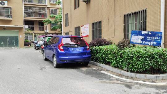 城市道路建筑春天花草树木商铺店面马路汽车