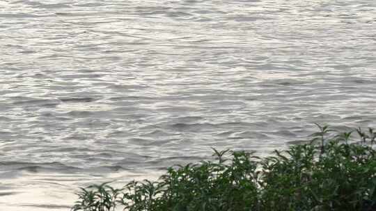 河水 水流 日落河面 情绪镜头