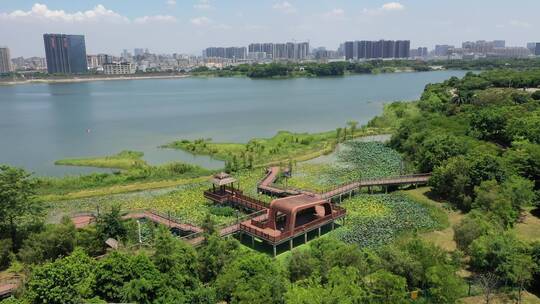 福永立新湖视频素材模板下载