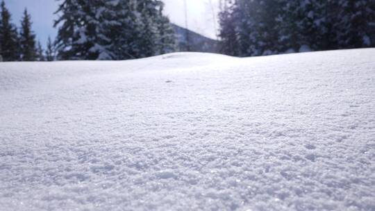 雪地特写寒冷