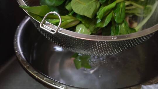 清洗菠菜苗沥水洗菜做菜